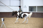 SBM_000215