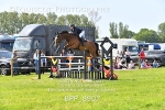 BPP_8907