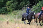WJ6_1774