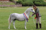 SIAL7946