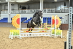 SBM_005338