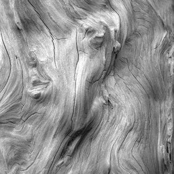 Abstract portfolio