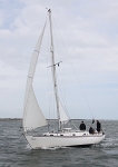 090618 VOLUTA IMG_3408