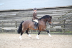 SBM_007056