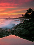 Ocean Mist