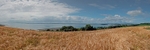 Strangford Lough from Harrisons