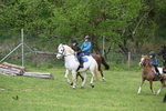 WJ6_3015