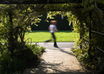 Running, Pinces Gardens, Exeter