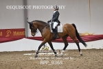 BPP_9365