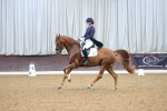 SBM_003131