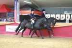 SBM_15015