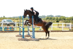 SBM_006576