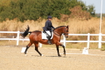 SBM_017997
