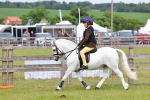 SBM_09499