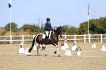 SBM_013225