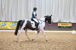 SBM_008955