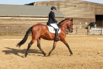 SBM_000370