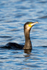 20150322-8E0A8410-3395