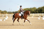 SBM_008606