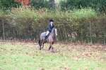 WJ6_4566