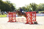 SBM_17741