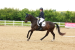 SBM_006385