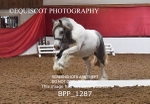 BPP_1287
