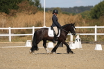 SBM_013531