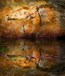 107 Golden Flamingo