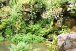 Fairy Glen