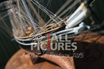 Cutty Sark-4