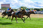 040826-Race 6-Without Flaw-5661