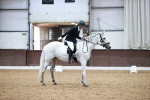 SBM_000876