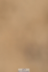 251004A-135128-01353