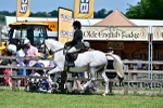 SBM_17460