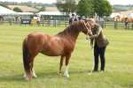 SBM_00575