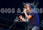 CAGE THE ELEPHANT portfolio
