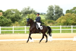 SBM_006711