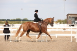 SBM_06705