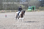 BPP_9593