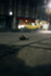 Urban snail at night in a Bristol Street
