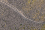 Uphill Only-346