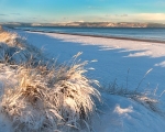 Central Beach - January