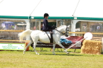 SBM_13322