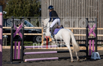 Junior Showjumping_10-11-2019-8