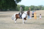 WJ7_6765