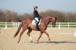 SBM_008548
