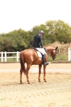 SBM_005537