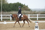 SBM_004332