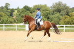 SBM_002008